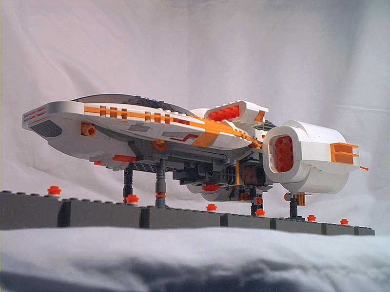 tamar-03.jpg