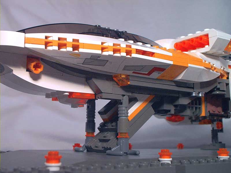 tamar-3.jpg
