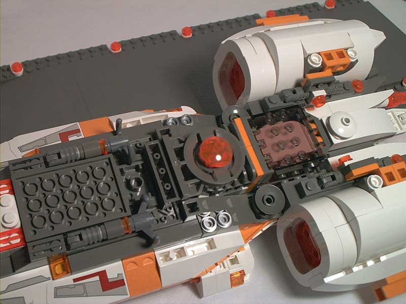 tamar-51.jpg