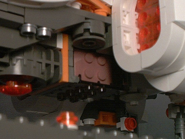 tamar-57.jpg
