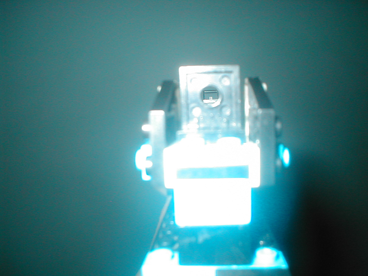 p1010007.jpg