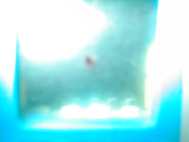 p9230033.jpg