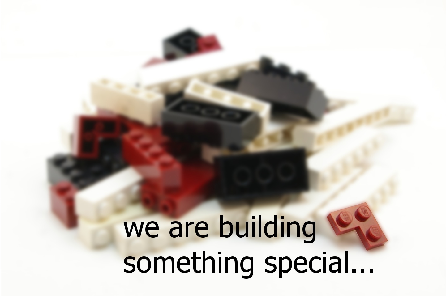 02-march-2011_we_are_building.jpg