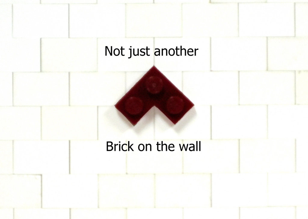 04_-_march_-_2011_brick_wall.jpg