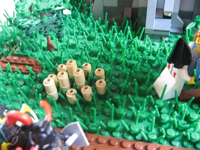 000016_grass5.jpg