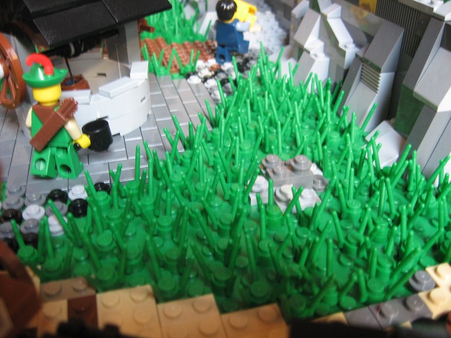 00002_grass.jpg