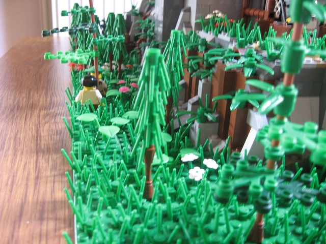 00008_forest.jpg