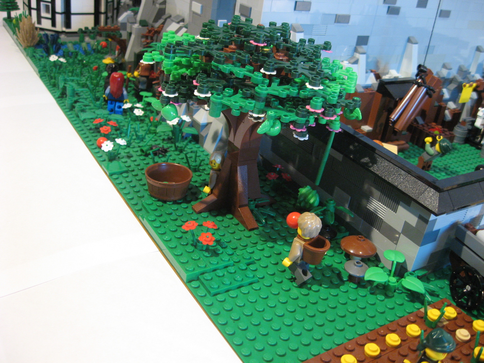 039__apple_tree.jpg