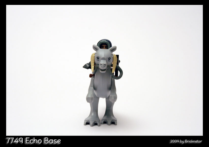 7749_echo_base04b.jpg