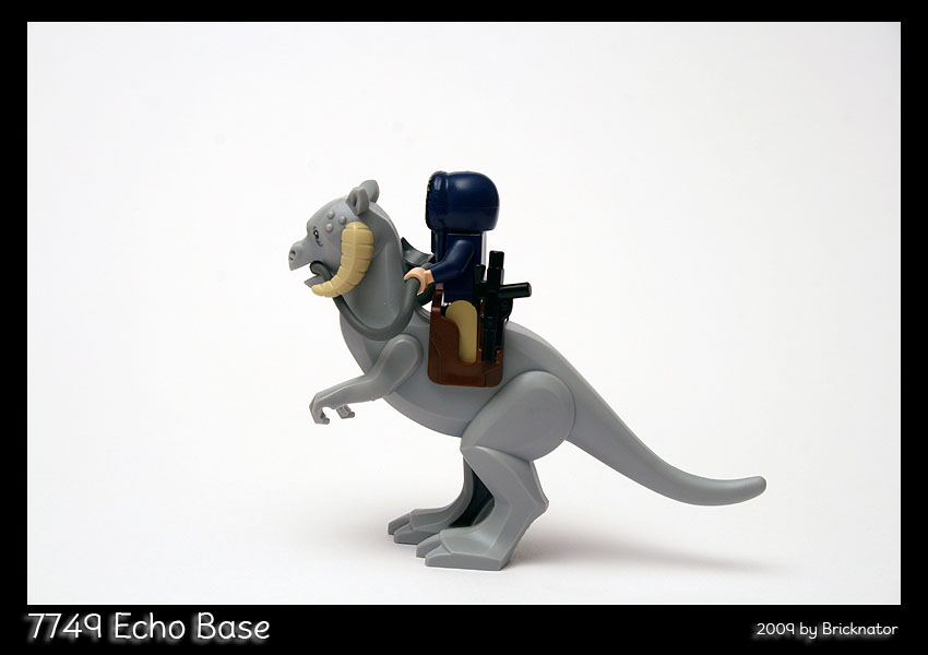 7749_echo_base05.jpg
