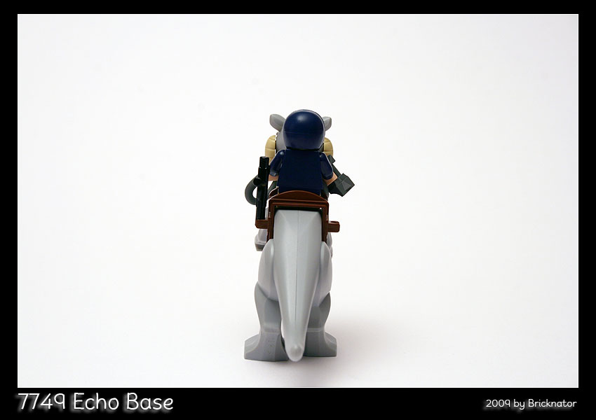7749_echo_base06.jpg