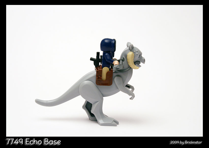 7749_echo_base07.jpg