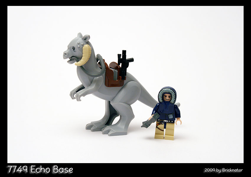 7749_echo_base08.jpg