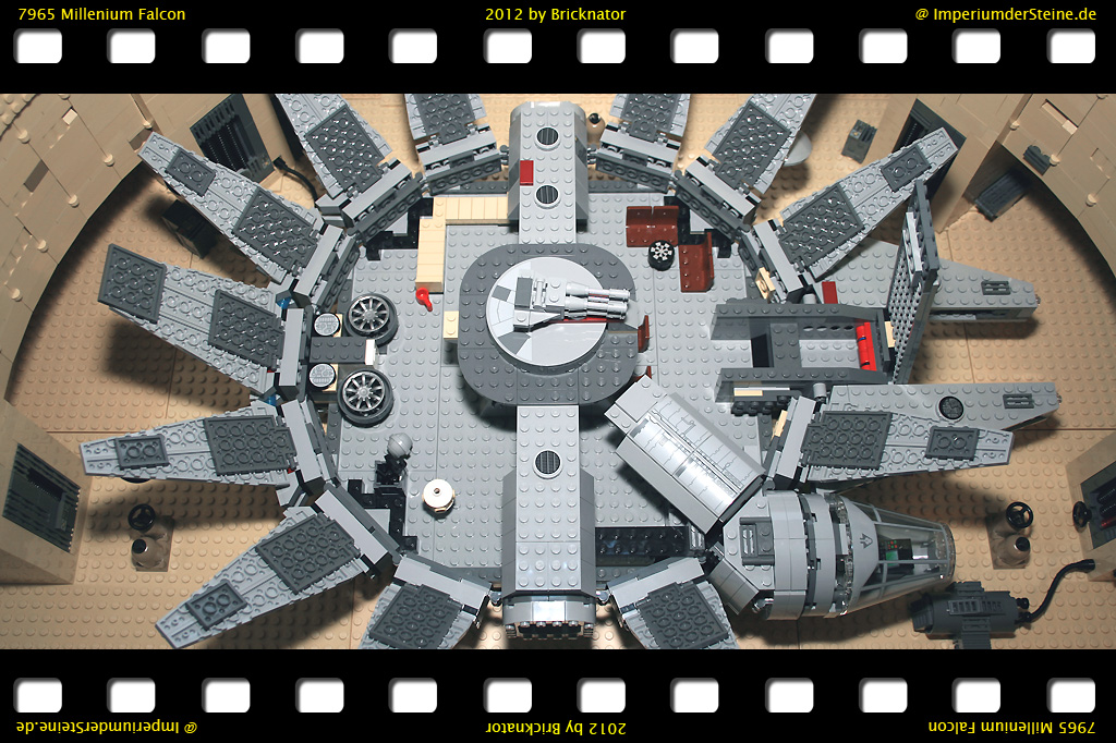 7965_falcon07.jpg