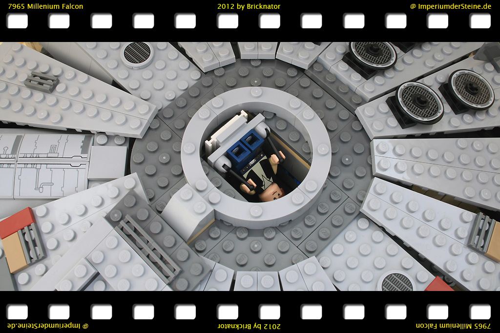 7965_falcon15.jpg