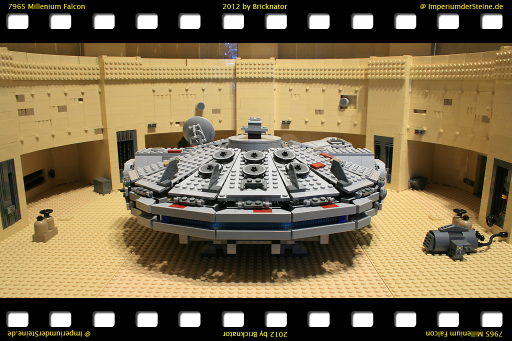 7965_falcon19.jpg