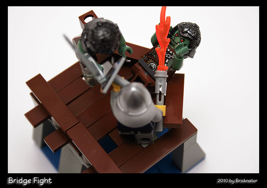 bridge_fight06.jpg