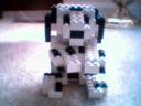 dotty2.jpg