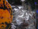 sealed_bags_left_6991.jpg