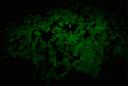 GlowInTheDarkTiles