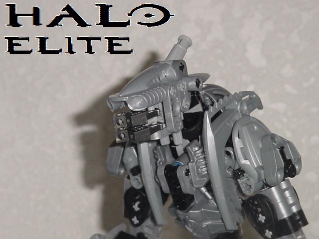 elite1.jpg