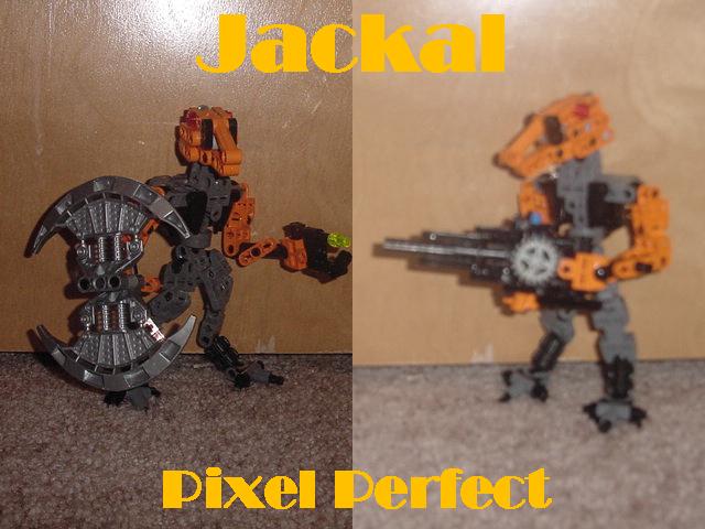 jackal1.jpg
