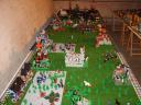 s8003731.jpg