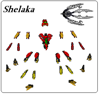 shelaka_kit.jpg