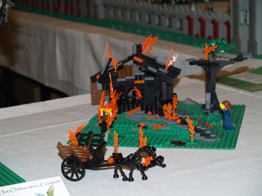 p1011393.jpg
