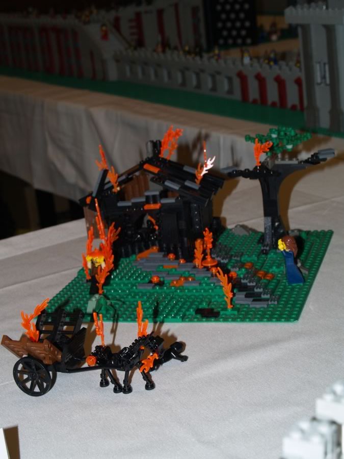 p1011483.jpg