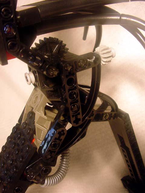 anklejointdetail.jpg