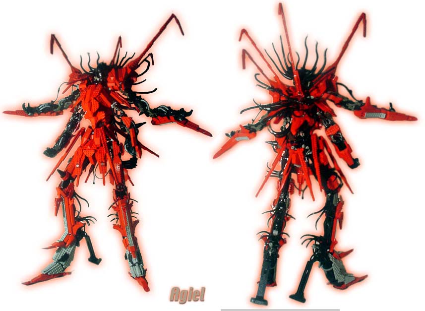 agielfrontandback.jpg