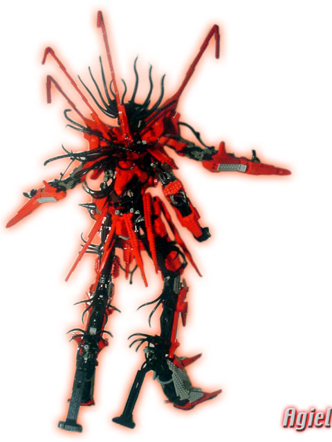backview.jpg