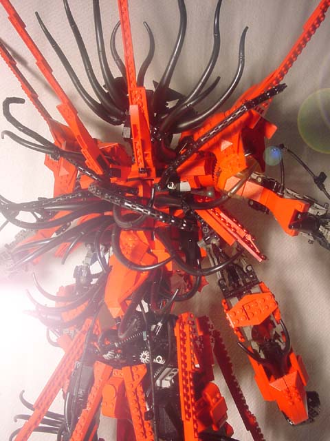 backview2.jpg