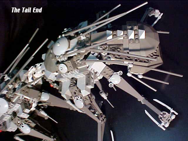 tailcloseup.jpg