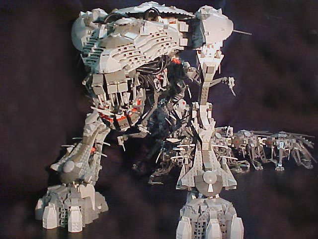 cankerwormfront.jpg