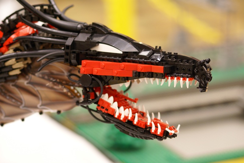 dragon_meno002.jpg