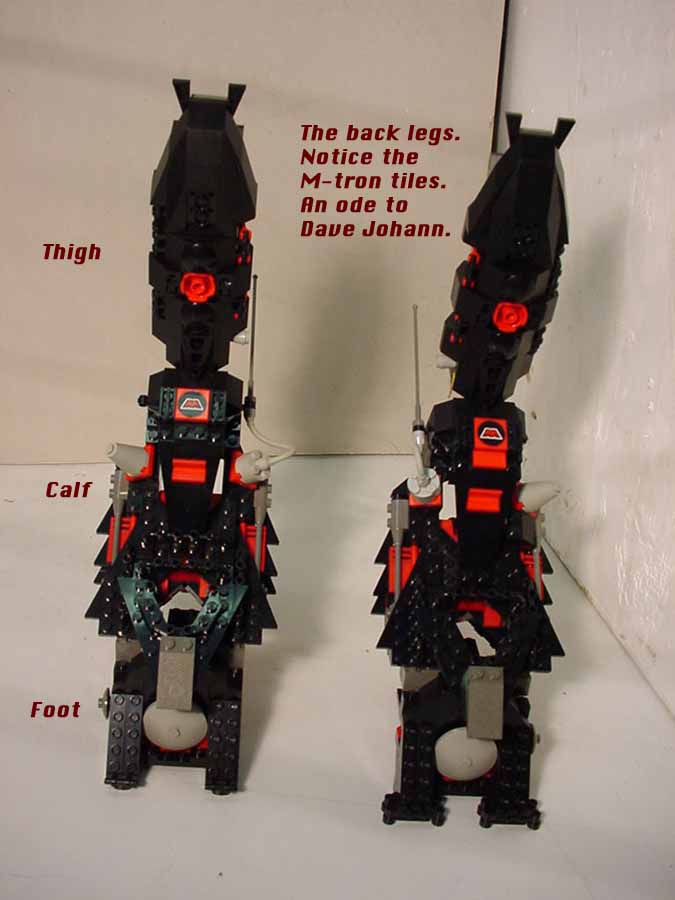 02_backlegs.jpg