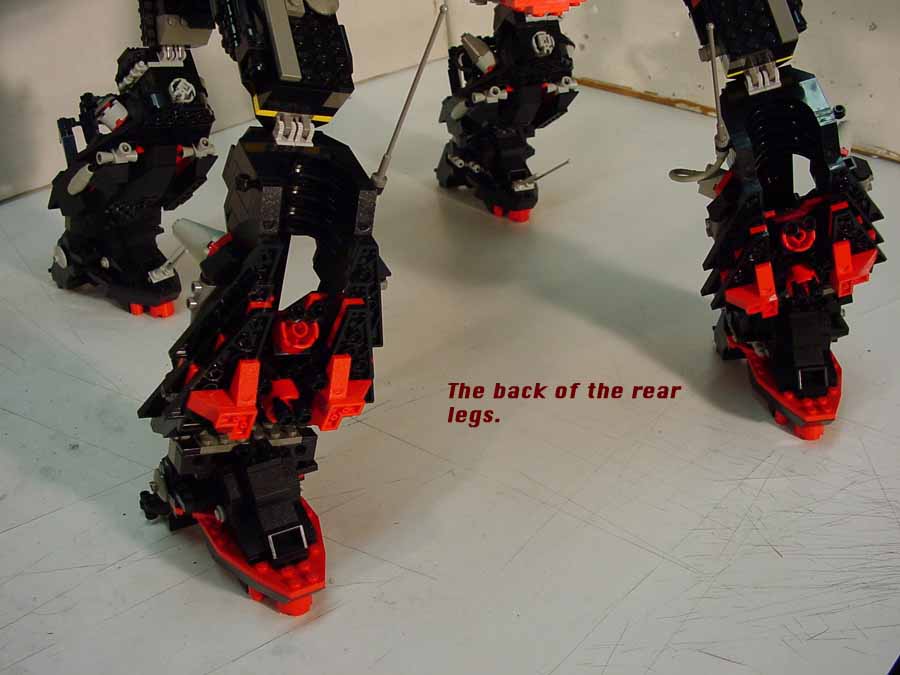 02_backlegs_bottom.jpg