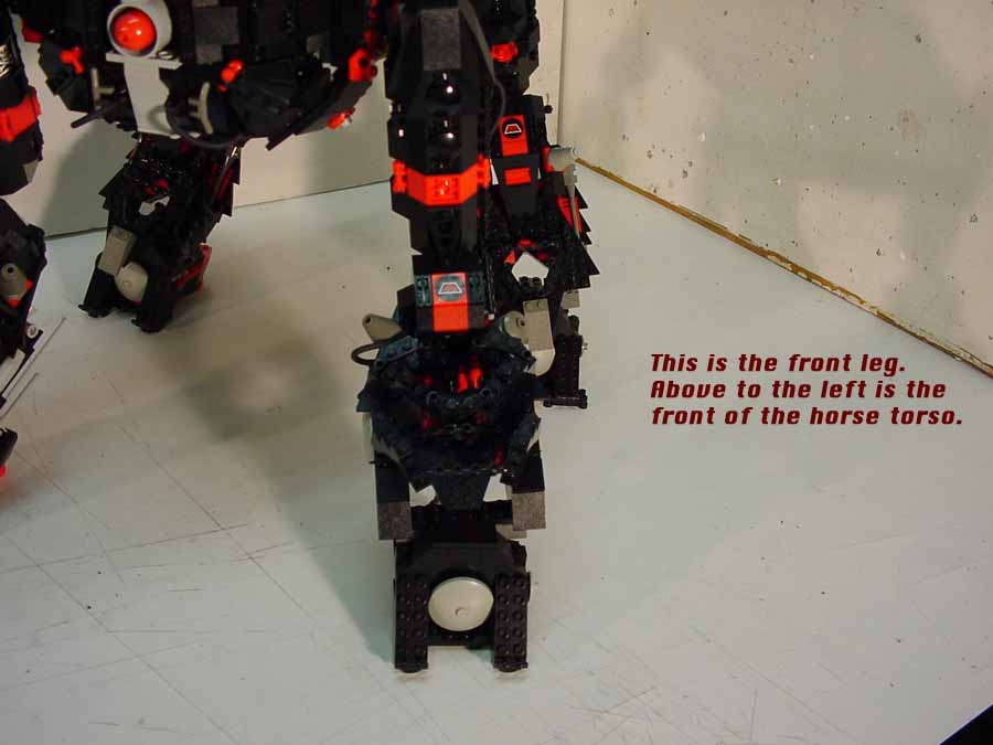 02_front_legs.jpg