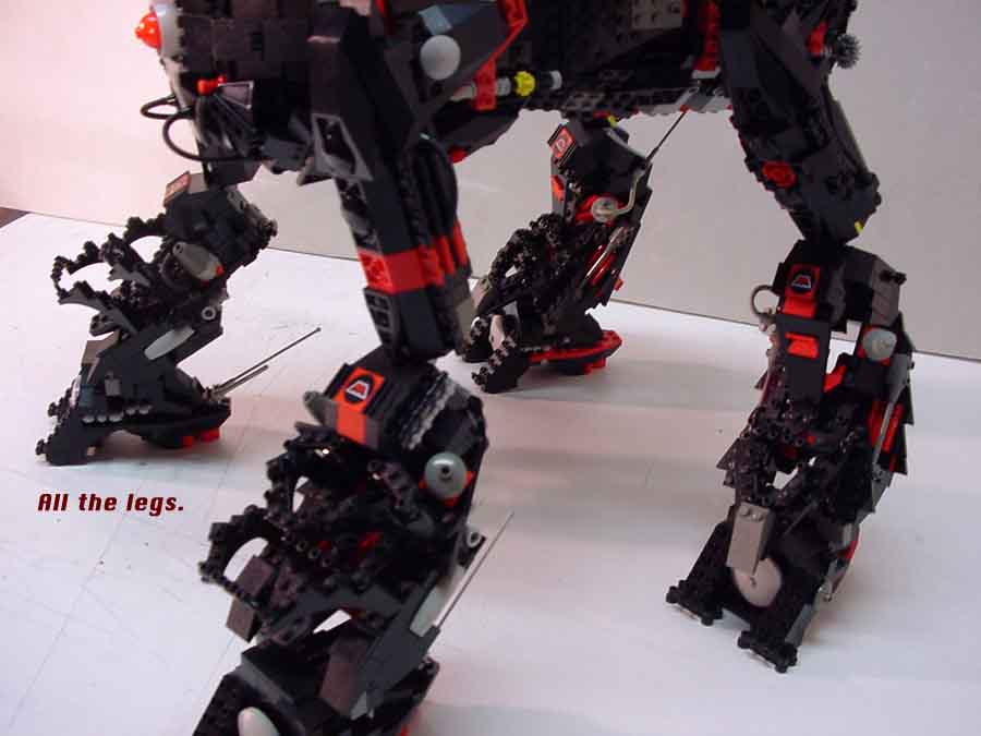02_legs_front.jpg