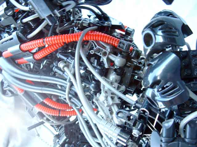 close_up_2.jpg