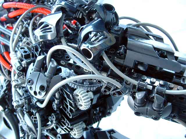 close_up_3.jpg