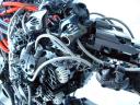 close_up_3.jpg