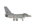 ef-2000_typhoon_dirty.jpg