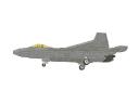 f-22_dirty2.jpg