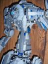 torso-completed.jpg