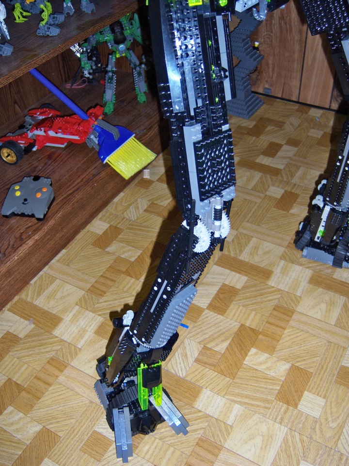 leg-skelton.jpg