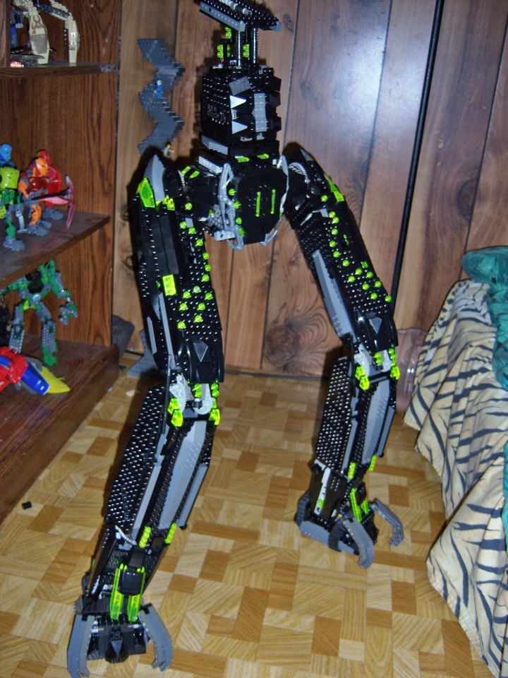 legs-and-lower-torso-standing.jpg