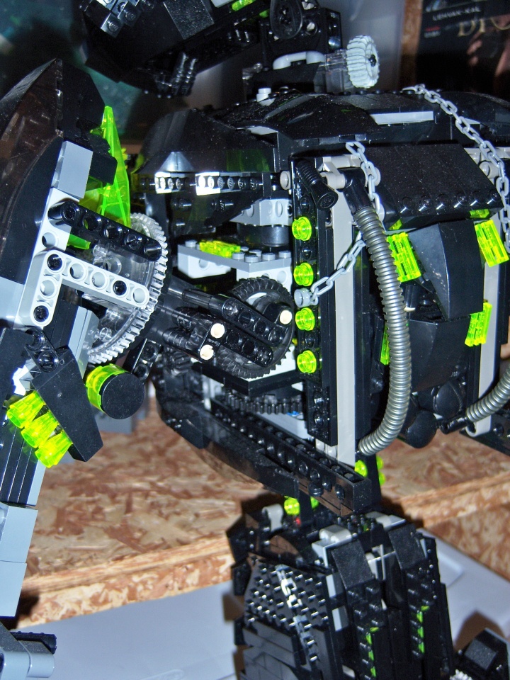 sholder-blade-back.jpg